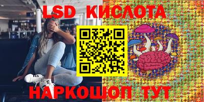 гидра Бийск