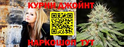 гидра Бийск