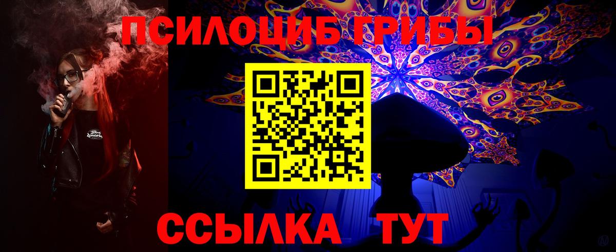 Псилоцибиновые грибы MAGIC MUSHROOMS  Галлюциногенные грибы Psilocybe  Балахна  Вход с VPN 